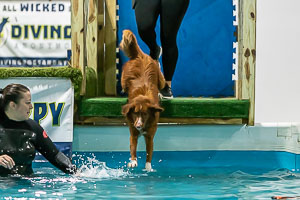 10 dock diving 008