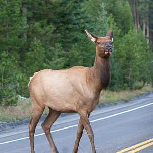 09 colorado 019