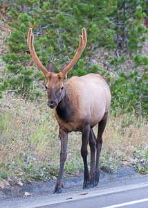 09 colorado 020