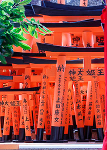 03 japan 022